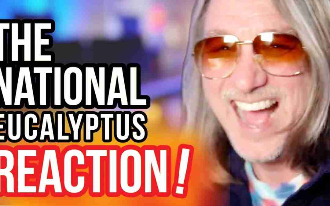 Reaction to The National – Eucalyptus