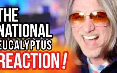 Reaction to The National – Eucalyptus